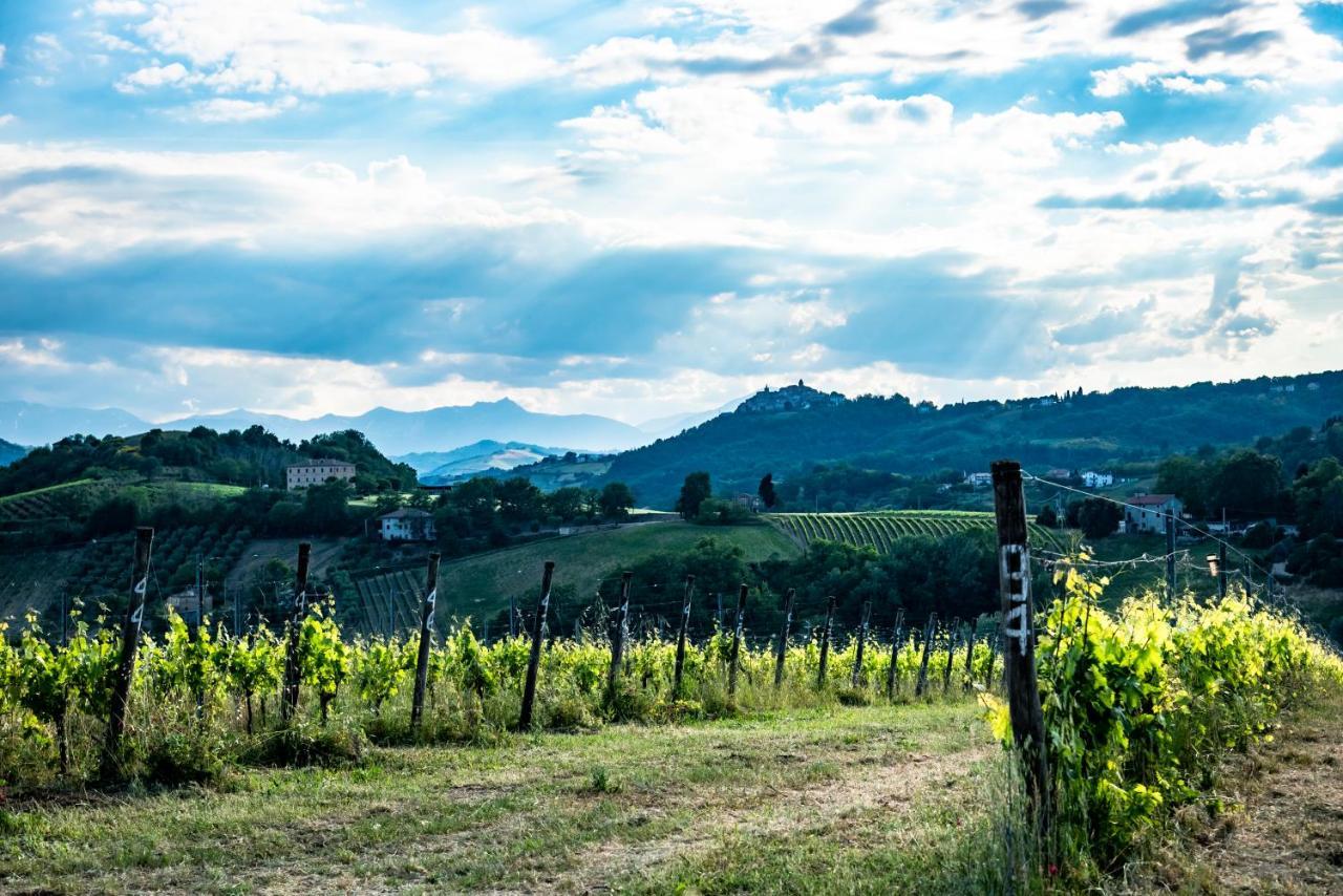 Recchi Franceschini Bike Hotel Last - Minute - Availability Montalto delle Marche Eksteriør billede