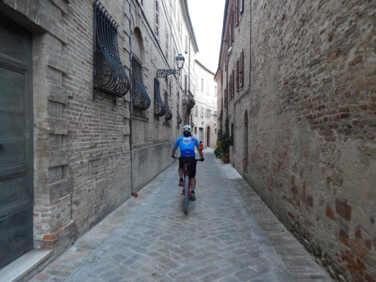 Recchi Franceschini Bike Hotel Last - Minute - Availability Montalto delle Marche Eksteriør billede