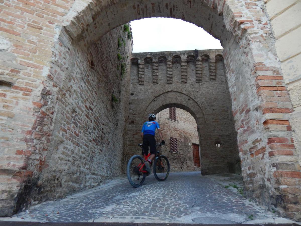 Recchi Franceschini Bike Hotel Last - Minute - Availability Montalto delle Marche Eksteriør billede