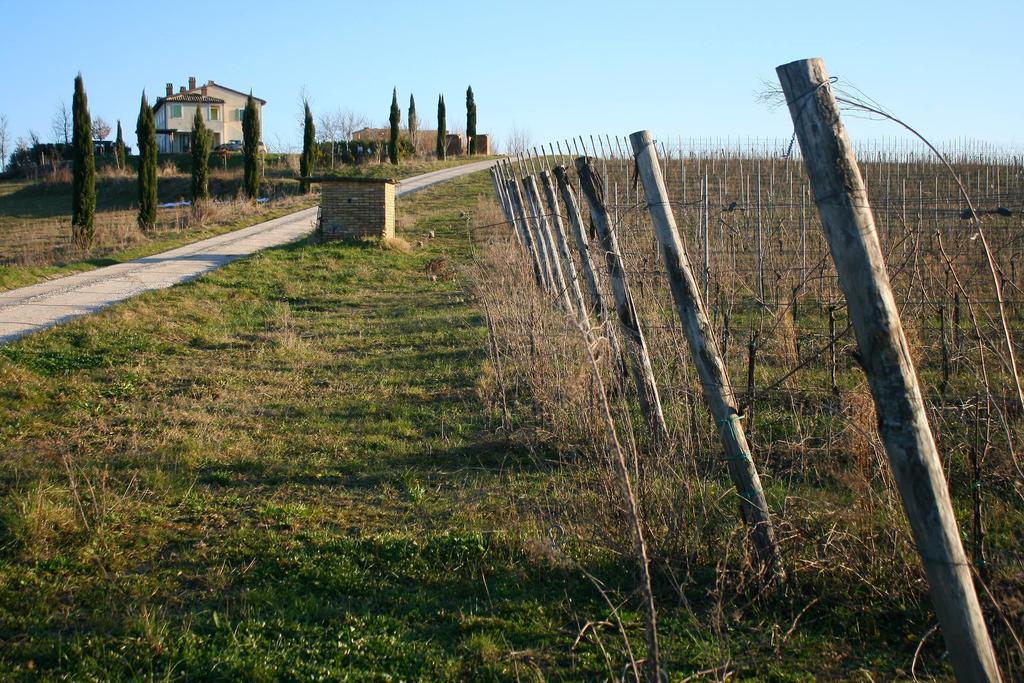 Recchi Franceschini Bike Hotel Last - Minute - Availability Montalto delle Marche Eksteriør billede